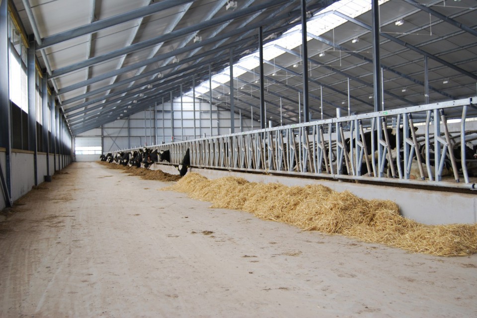 Stalinrichting HAgro Stalinrichting