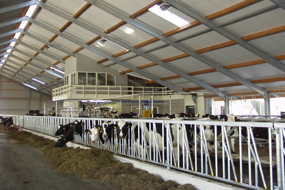 Voerhekken Agro Stalinrichting